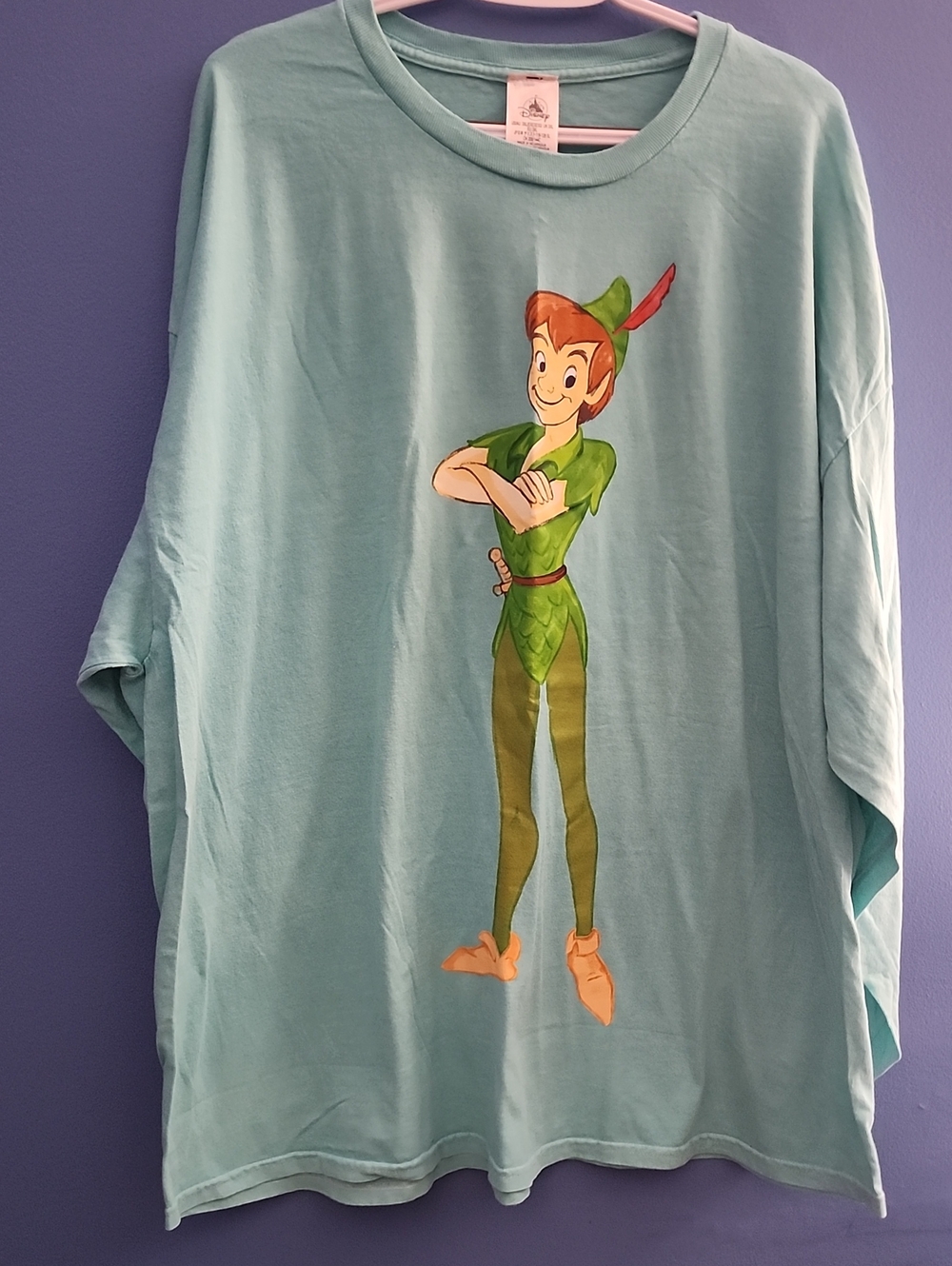 Mems Disney Peter Pan Long Sleeve Graphic Tee - Light Blue